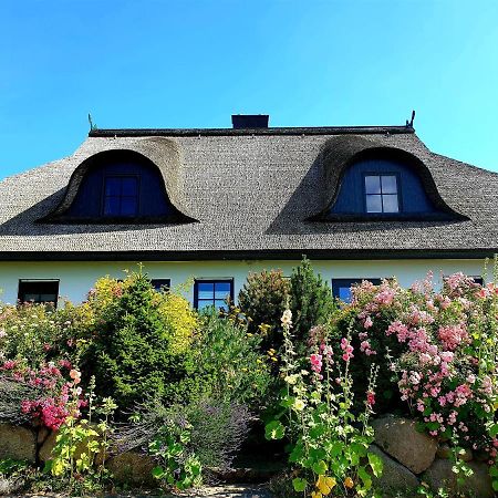 Insel Landhaus Bernstein Villa กาเกรอ์ ภายนอก รูปภาพ