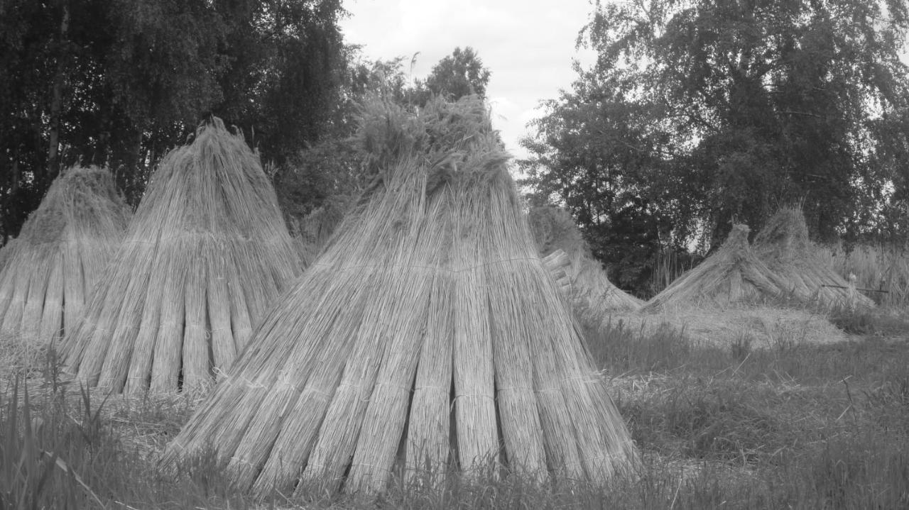 Insel Landhaus Bernstein Villa กาเกรอ์ ภายนอก รูปภาพ
