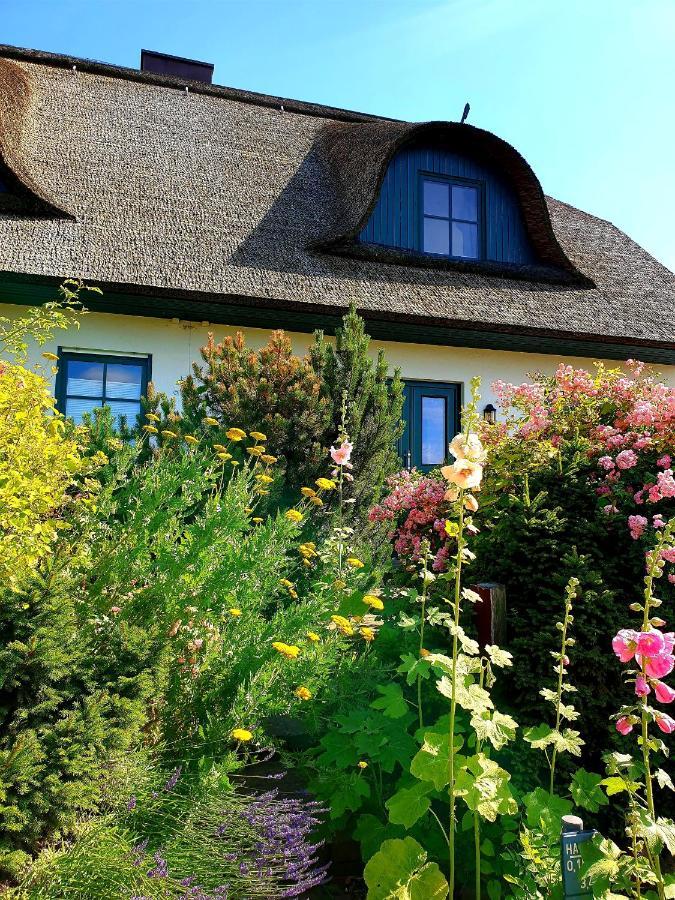 Insel Landhaus Bernstein Villa กาเกรอ์ ภายนอก รูปภาพ